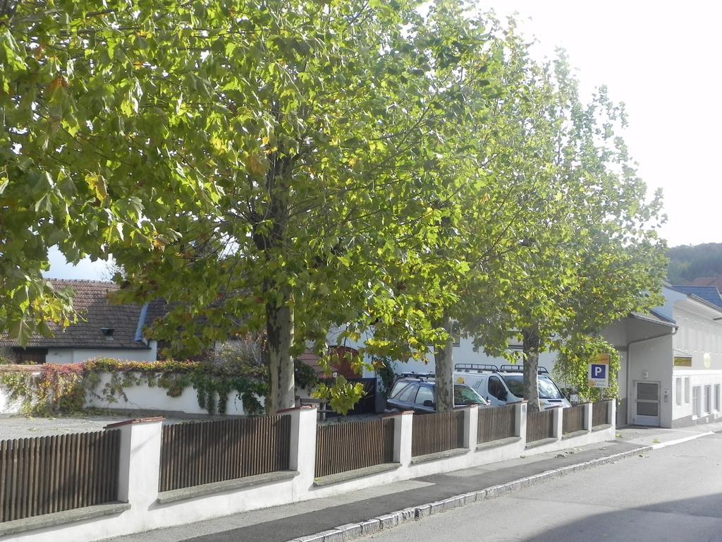 Apartment Haus Morgensonne